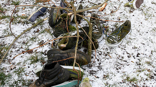 Ein Stück des beliebten Turnschuhbaums liegt im Schnee.