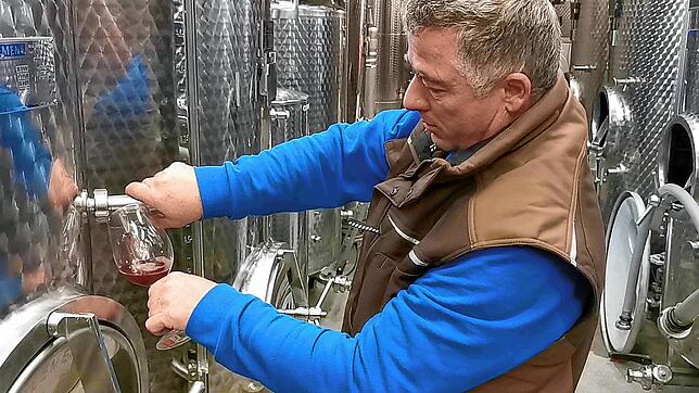 Der Bermatinger Winzermeister Mathias Dilger nimmt in seiner Kellerei eine Probe Rotwein zum Begutachten.