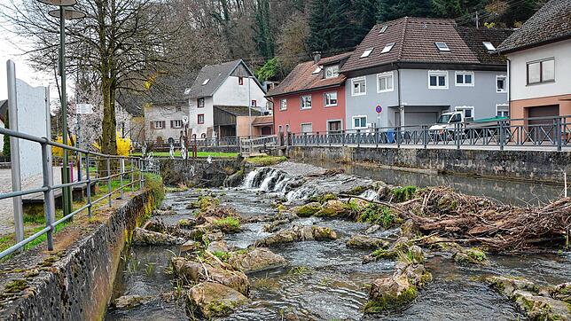 Die raue Rampe im Dorfbach, Rheinfeldens erste Fischtreppe, wie Reichert-Moser erklärt.
