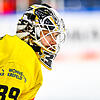 Marvin Cüpper soll der neue Backup bei den Wild Wings werden.