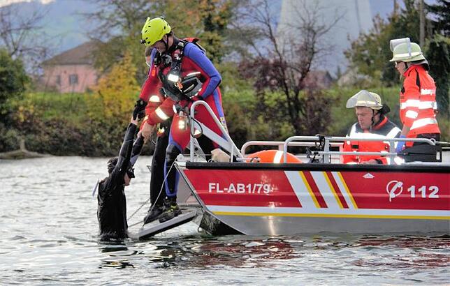 Das städtische Rheinschiff „Waldshut-Tiengen“ stand im Mittelpunkt einer aufwändigen Wasserrettungsübung der Feuerwehr Waldshut-Tiengen. ...
