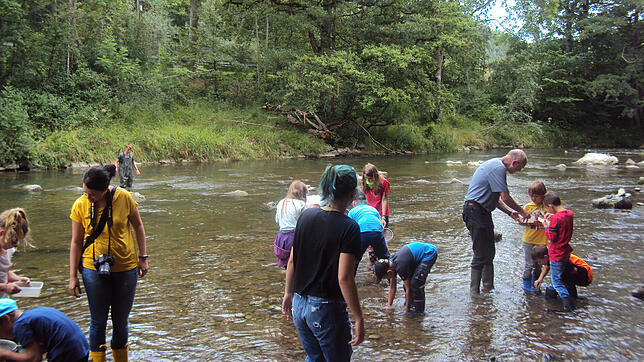 Voller Interesse sind die Kinder auf der Suche nach Lebewesen in der Wutach. Klaus Goldmann (rechts), Daniela Götz (links), sowie ...