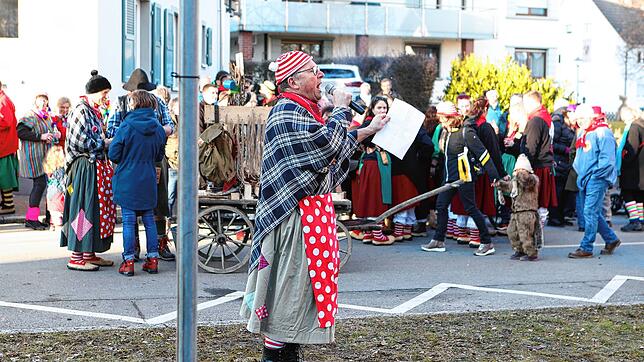 Bild : Mit einem kräftigen Hau Ruck wird der Narrenbaum in Position gebracht