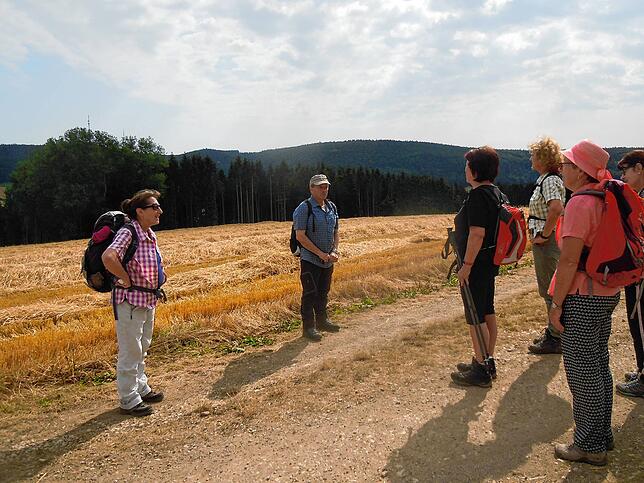 Wandern mit Abstand galt zwischen den Lockdowns. Sehr beliebt sind die neuen Angebote für Senioren, 21 neue Wanderführer konnten begrüßt ...