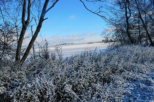 Blauer Himmel und Schnee, es gibt nichts Schöneres.