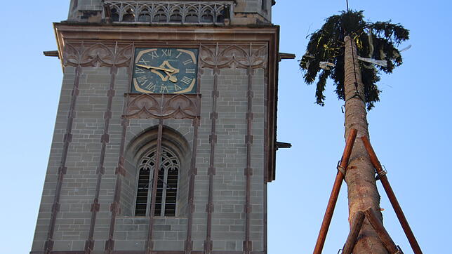 Bild : Der Narrenbaum steht! Die schönsten Bilder vom Narrenbaumstellen in Radolfzell