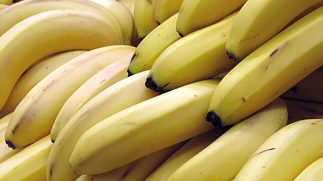 Die Bananen-Standardsorte "Cavendish" scheint unbegrenzt verfügbar. Ein Trugschluss. Sie wird von einem gefährlichen Pilz bedroht.