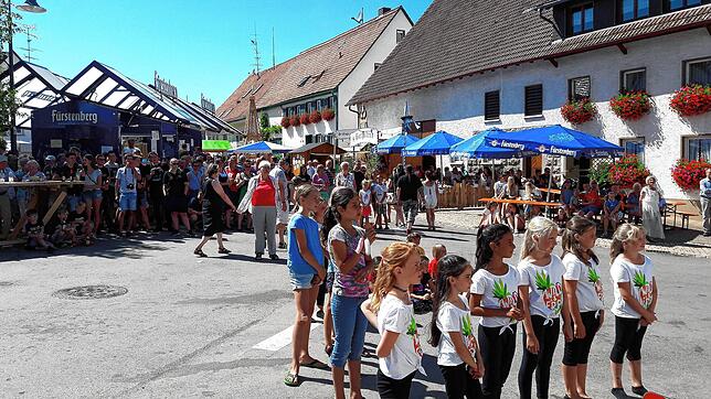 Das Ewattinger Dorffest wird Mitte August in diesem Jahr wieder ein dreitätiges Ereignis für große und kleine Gäste werden.