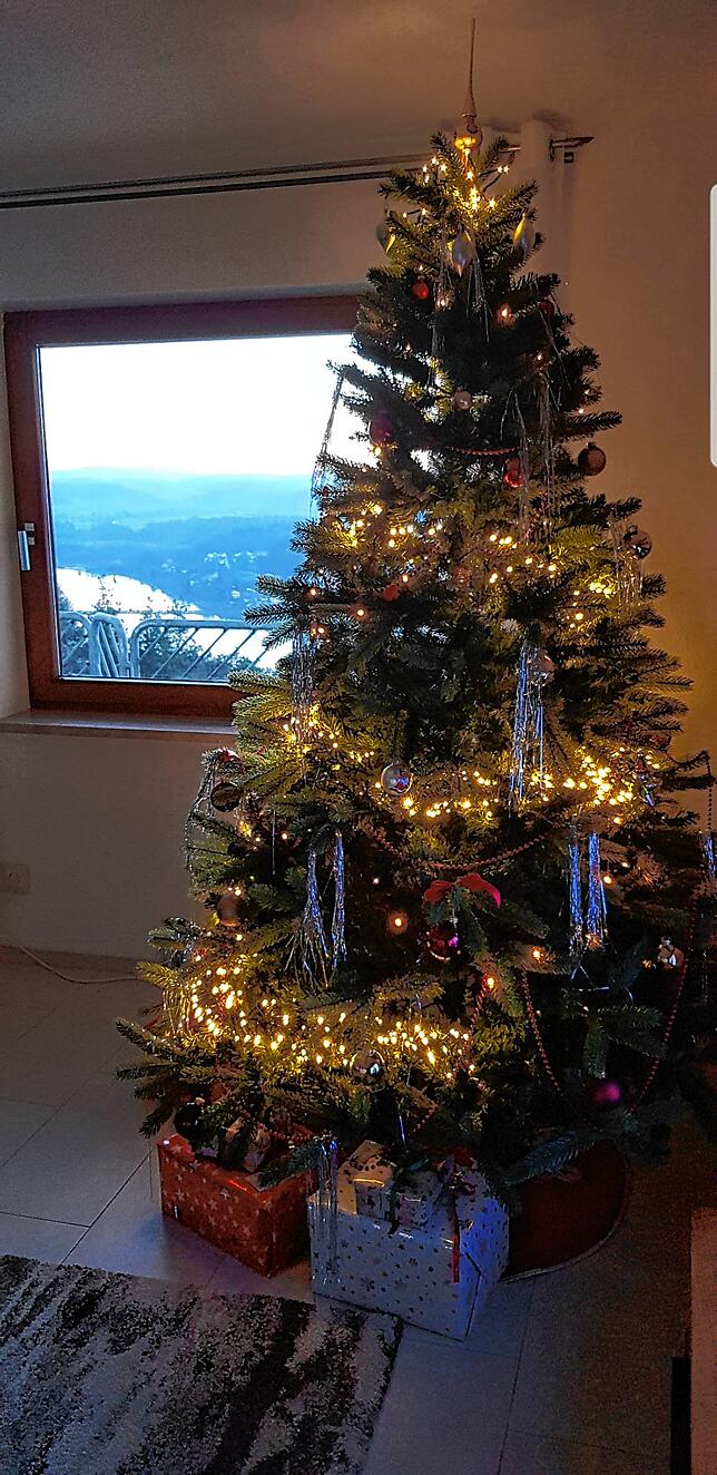 Der Weihnachtsbaum von Martin Rosa.