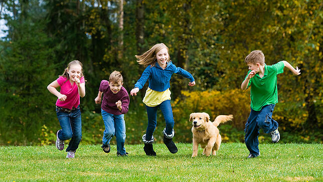 Ein langer Spaziergang und dann noch eine ausgiebige Spielrunde: Dabei haben Mensch und Hund gleichermaßen Spaß.