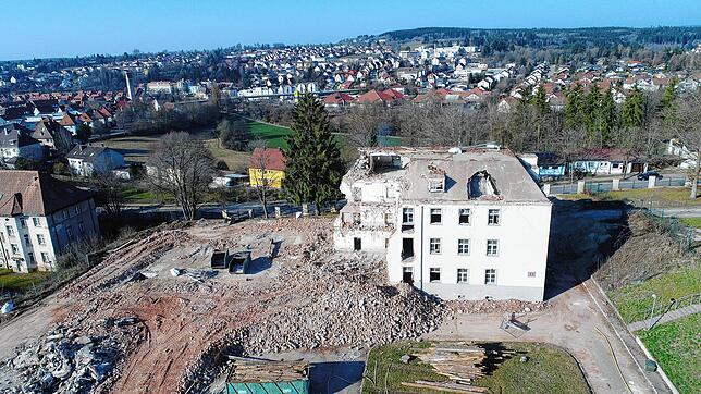 Stück für Stück verschwindet das Collège. Am 27. März stand nur noch das halbe Gebäude. An dieser Stelle soll dann die neue Realschule ...