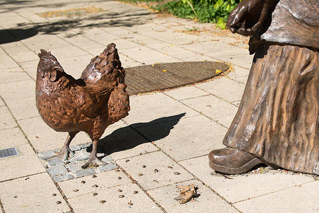 "Wo ist nur mein Bibbele geblieben?" scheint sich die Henne zu fragen. Wieder sind nur die Füße zurück geblieben.