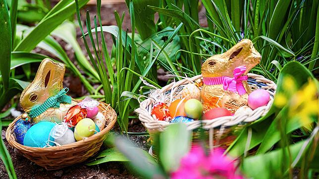 Der Osterhase steht für Fruchtbarkeit, die Eier sind Symbole des Lebens (Symbolbild).