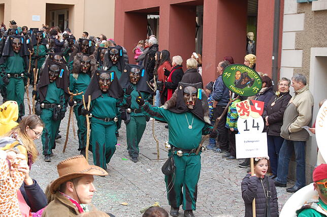 Bild 10: Bilder vom Fasnachtsumzug in Laufenburg