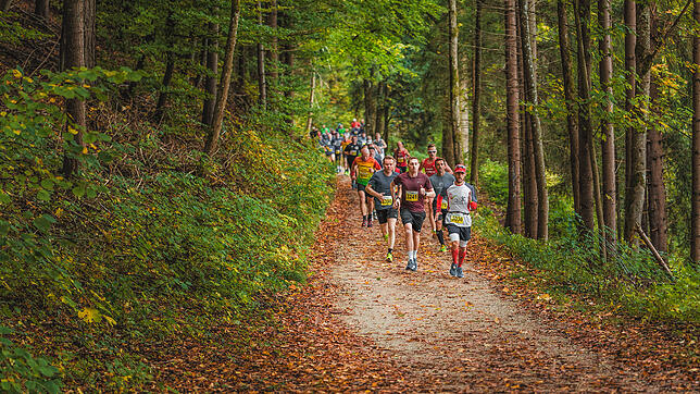 Einer der ältesten Naturmarathons hält, was er verspricht: 80 Prozent der Wege des Schwarzwaldmarathons sind Waldwege.