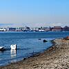 Ufer am Bodensee: Forscher sehen die Natur immer mehr durch Wassersport gefährdet.