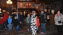 Bild : Narrentreffen der Urviecher-Zunft: Bilder vom Eröffnungsumzug (1)