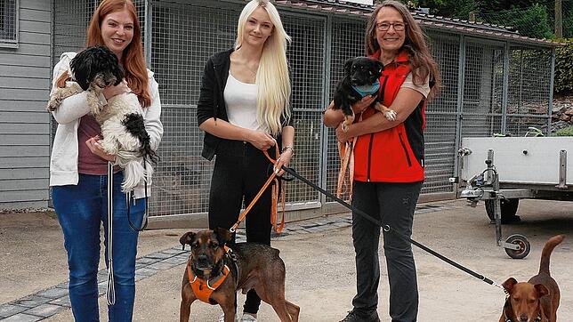 Schlechte Erfahrungen Mit Hunden Aus Dem Ausland www.suedkurier.de