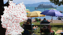 Nicht nur an diesem Tag war es heiß in Kressbronn am Bodensee. Die Punkte zeigen alle Wetterstationen, die mehr als 35 Grad Celsius ...
