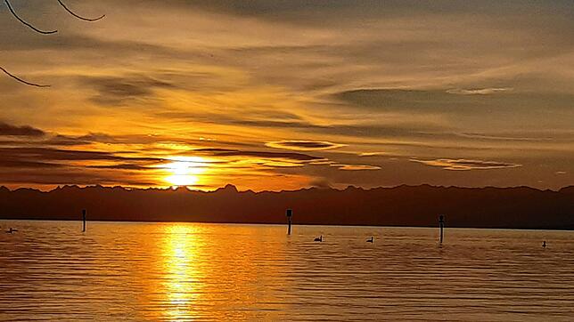 Bild 3: Magischer Alpenblick am Bodensee: Dieses Wetter macht ihn möglich