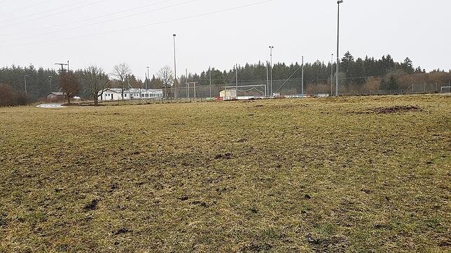 Auf dieser Wiese beim Grüninger Sportplatz kommt es in Kürze zum ersten Spatenstich für die neue Halle.