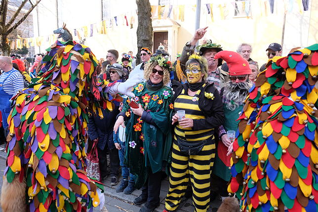 Bild 4: Bilder vom großen Narrenbaum-Umzug aller Singener Zünfte (Teil 2)