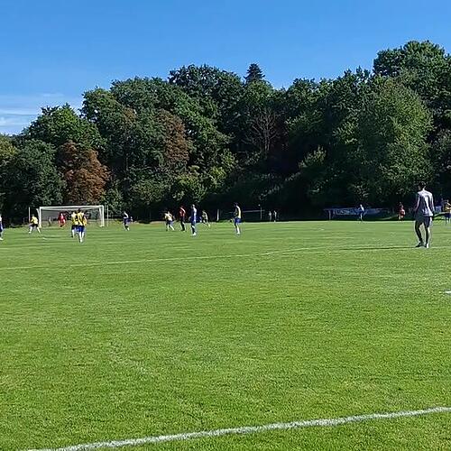 xyTore FC Radolfzell vs. FC Singen