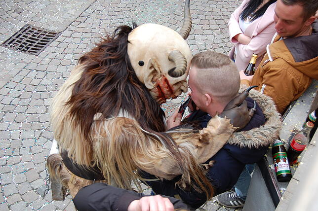 Bild 18: Bilder vom Fasnachtsumzug in Laufenburg