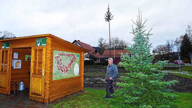 Auf seinem Grundstück in Obersiggingen hat Norbert Steidle aus einem Christbaum einen Narrenbaum gestaltet, der Mut, Zuversicht und ...