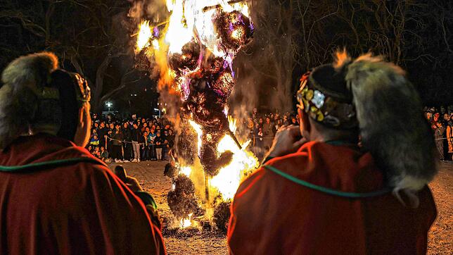 Bild : Bilder von der Fasnachtsverbrennung in Radolfzell
