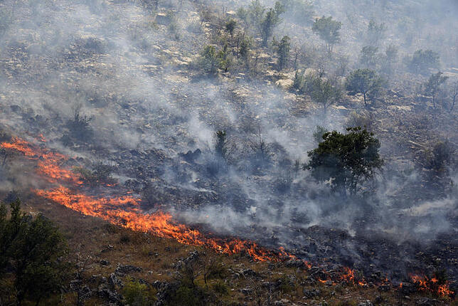 Ein Buschfeuer brennt auf einem Berg bei Podgorica (Montenegro). Mindestens 100 Touristen musten von einem Küstenabschnitt in Montenegro ...