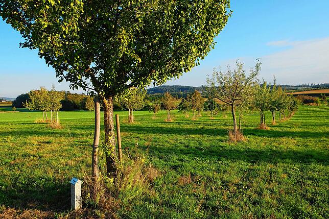 Der große Obstsortengarten im Unterdorf gehört ebenfalls zu den Stationen.