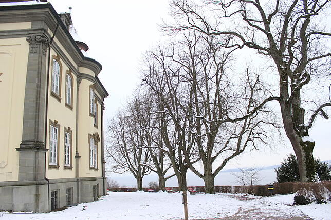 Schloss Rauenstein und der öffentlich zugängliche Park mit alten Bäumen.