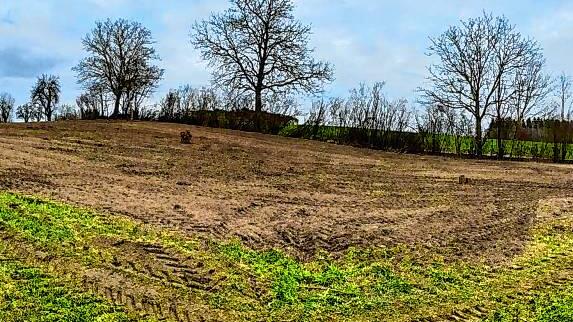 Auf dieser Brachfläche in Lottstetten soll eine Streuobstwiese mit Blühstreifen, Trockenmauer und Insektenhotels entstehen.