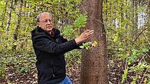 Hans Josef Fritschi bei der Begutachtung eines Holunders in der Nähe des Römerbades in Hüfingen. Der Naturheilkundler weiß um die ...