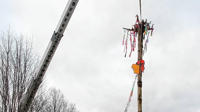 Die Leiterbachpiraten haben den Narrenbaum gestellt.