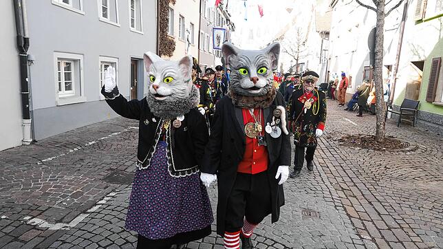 Bild : Villinger Fasnacht: Die schönsten Bilder der Katerbefreiung im Riet