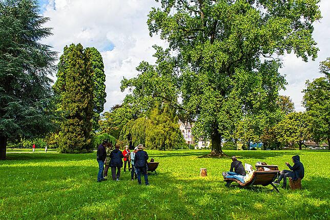 Die Bäume sind die Stars bei an aktuellen Führungen im Seeburgpark.