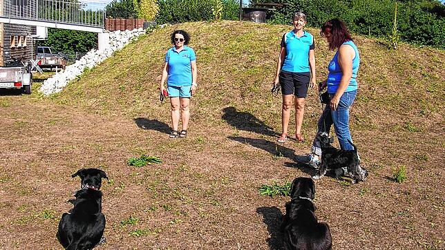 Rettungshunde trainieren bei der Ausbildung Gehorsam, wie es Ines Wegen mit Leni, Beate Ellermann mit Alando und Andrea Liebermann mit ...