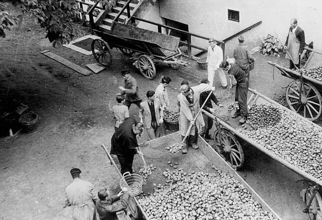 Schüler, Patres und Brüder packten bei der Kartoffelernte 1960 auf Schloss Hersberg kräftig mit an. Bild: Archiv Hersberg