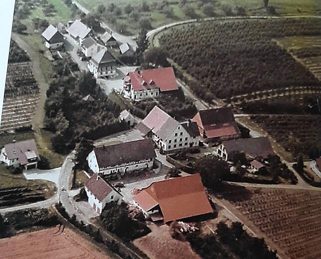 Der Ort Gangenweiler im Jahr 2007. In der Mitte die kleine Kapelle, darüber das alte Fachwerkhaus Gaus. Auf dem dicht bewachsenen ...