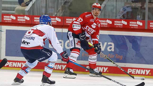 Daniel Weiß trug vergangene Saison in 26 DEL-Spielen das Wild Wings-Trikot