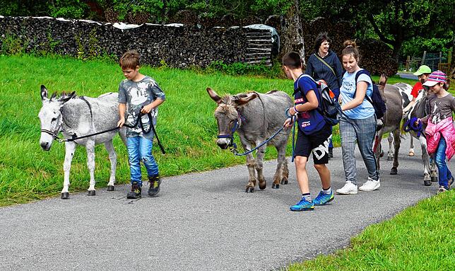 Ein absoluter Renner beim Sommerferienprogramm der Gemeinde Ühlingen-Birkendorf sind die Wanderungen mit Eseln.