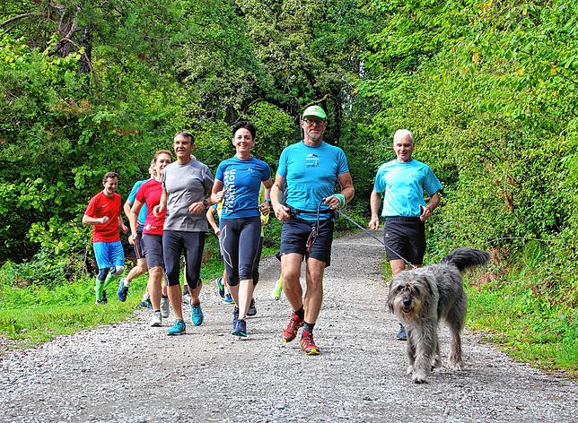 Und los geht&lsquo;s mit Zugkraftverstärkung! &bdquo;Uffe&ldquo; oder &bdquo;nauf&ldquo; auf den Gehrenberg bis zum Turm. Beim Lauf am ...