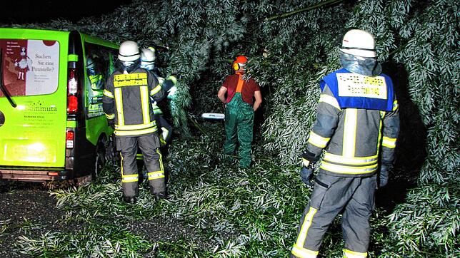 In der Karl-Wolf-Straße stürzte durch das Unwetter ein Baum auf ein Fahrzeug