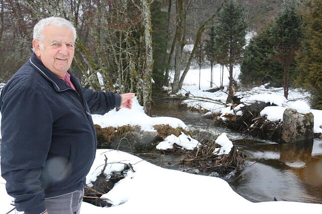 Ortsvorsteher Günter Arzner an der "Wirkungsstätte" des Bibers bei Hogschür.
