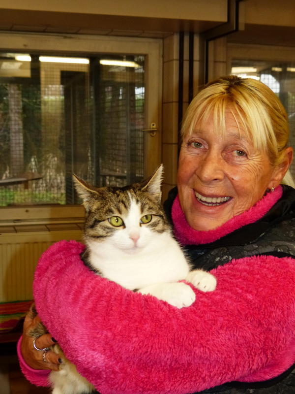Wilma Jegler, Vorsitzende des Tierschutzvereins Überlingen, mit Katze Dixi. Bild: Christiane Keutner