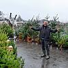 Willkommen im Reich der Weihnachtsbäume. Thomas Braun, Betreiber des Hundweilerhofs beim Markdorfer Stadtteil Ittendorf, lädt zum Kauf ...