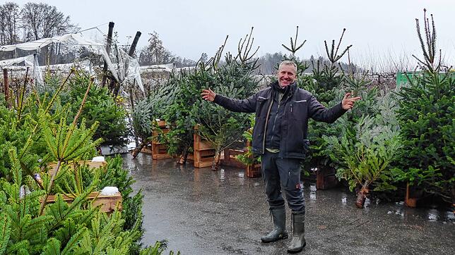 Willkommen im Reich der Weihnachtsbäume. Thomas Braun, Betreiber des Hundweilerhofs beim Markdorfer Stadtteil Ittendorf, lädt zum Kauf ...
