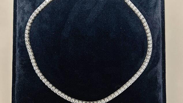 97 Edelsteine sind im geschmuggelten Collier eingefasst.